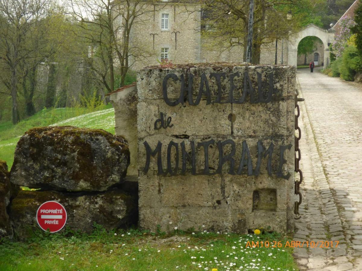Soisy-Bouy Chateau De Montrame מראה חיצוני תמונה