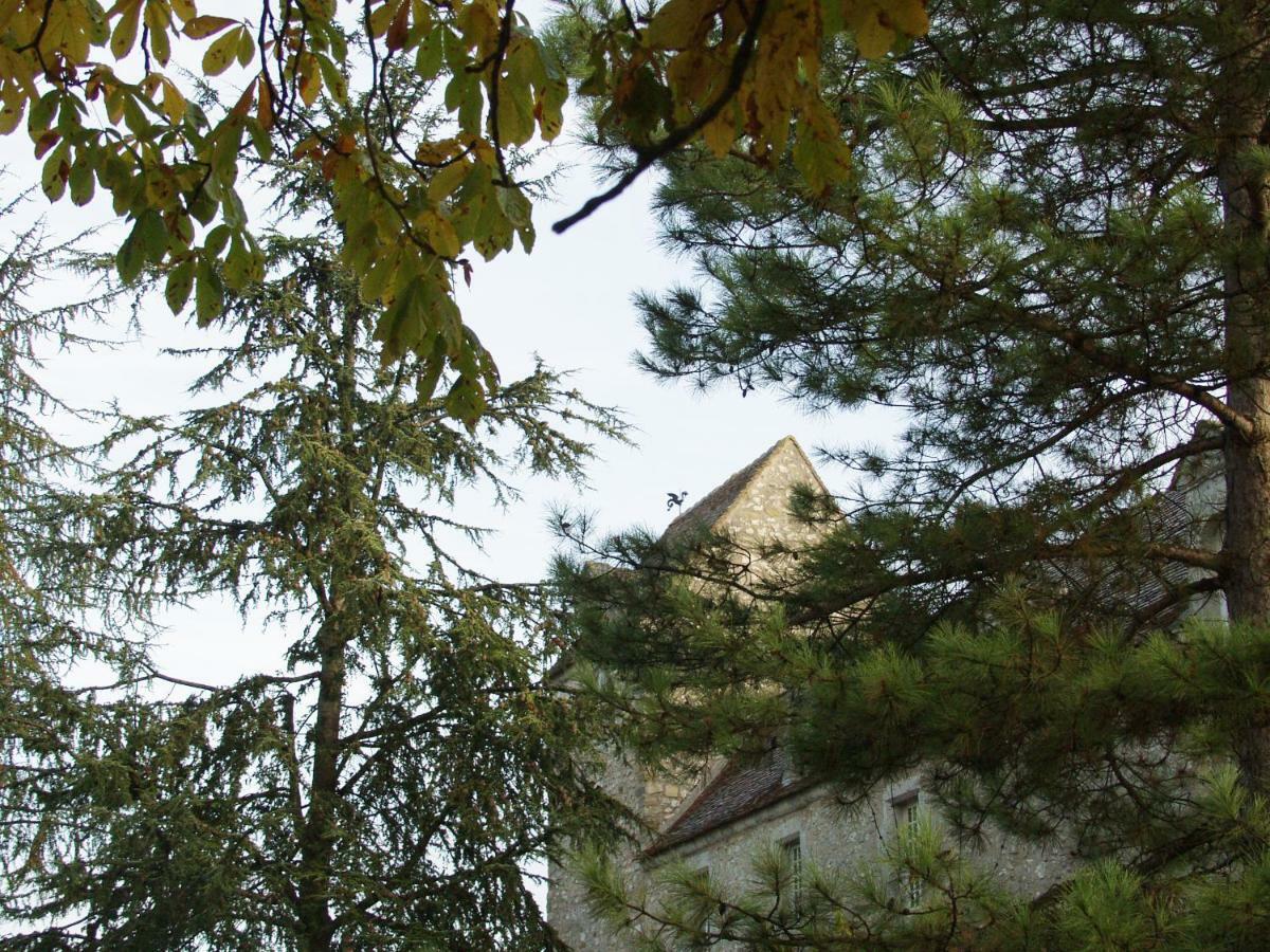 Soisy-Bouy Chateau De Montrame מראה חיצוני תמונה